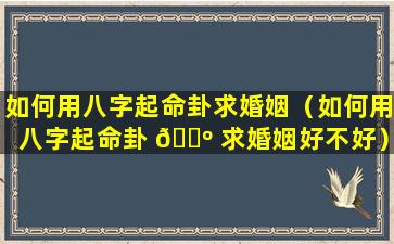 如何用八字起命卦求婚姻（如何用八字起命卦 🌺 求婚姻好不好）